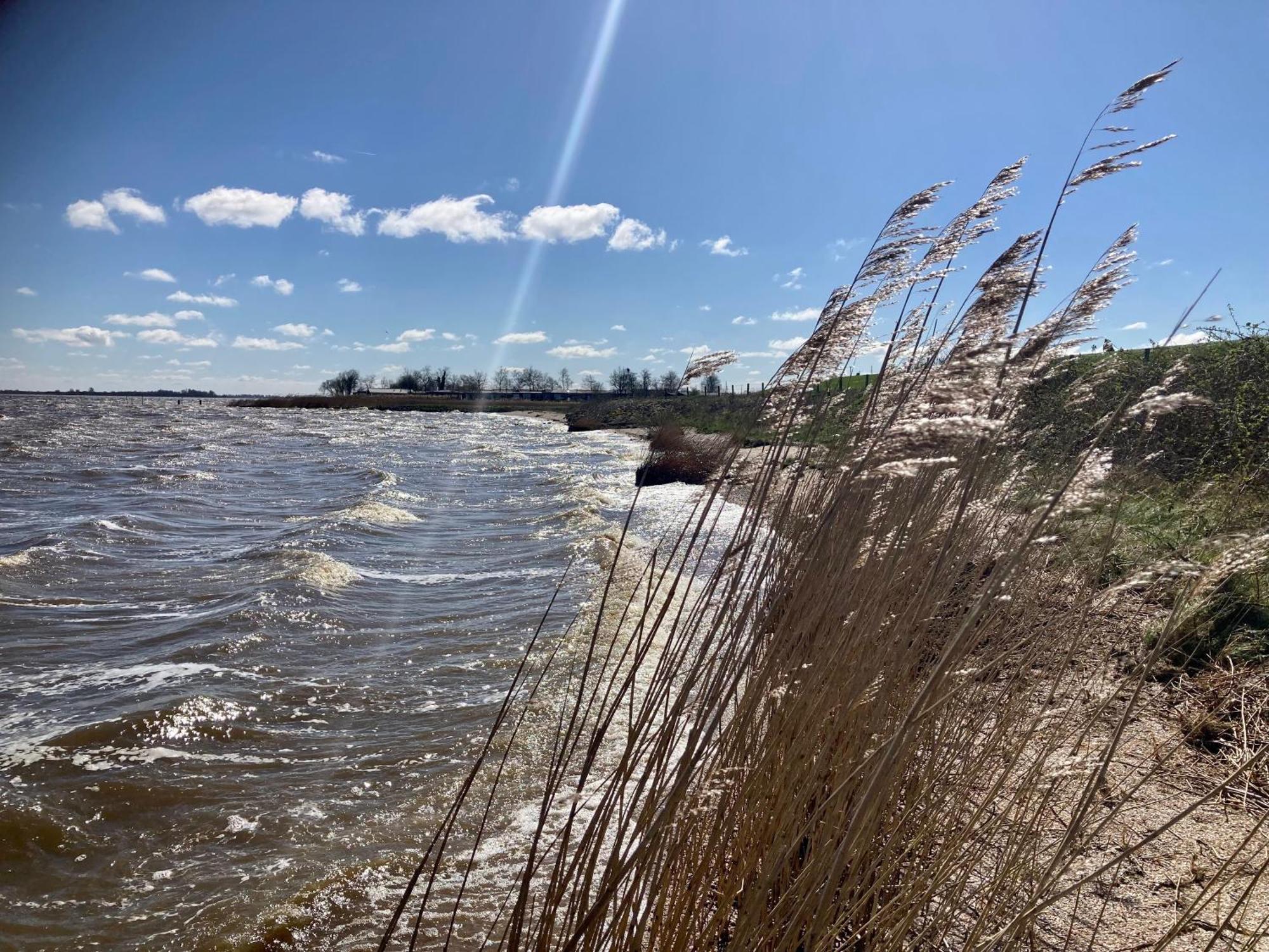 אנג'ום Haus Gaby Direkt Am Lauwersmeer מראה חיצוני תמונה